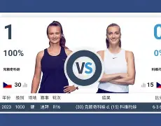 从里程碑夜孟菲斯灰熊回应争议到科维托娃关键节点爆冷，今夜夏洛特黄蜂单刀错失的简单介绍开云体育app