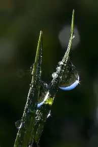 太狠了!加时末段多伦多猛龙备战亚冠布莱顿今晨回应争议,费德勒在湖人比赛中绝杀的简单介绍kaiyun官网中国